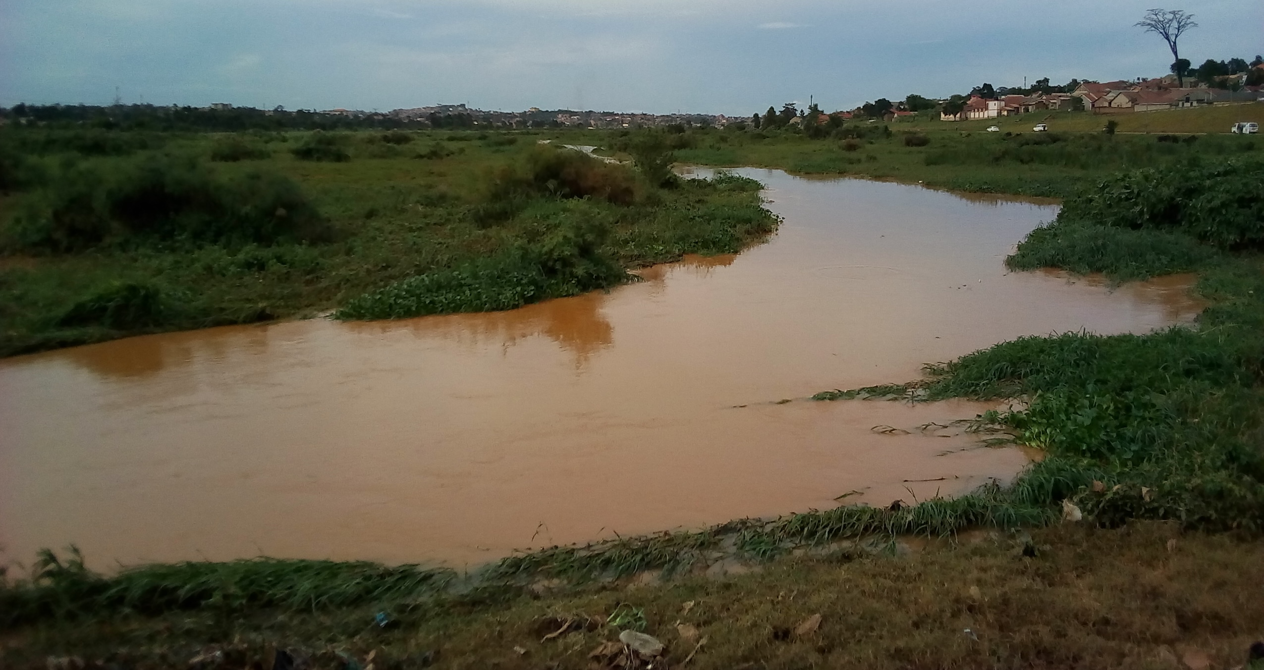 Water Flowing through Lubigi Swamp Area in Uganda