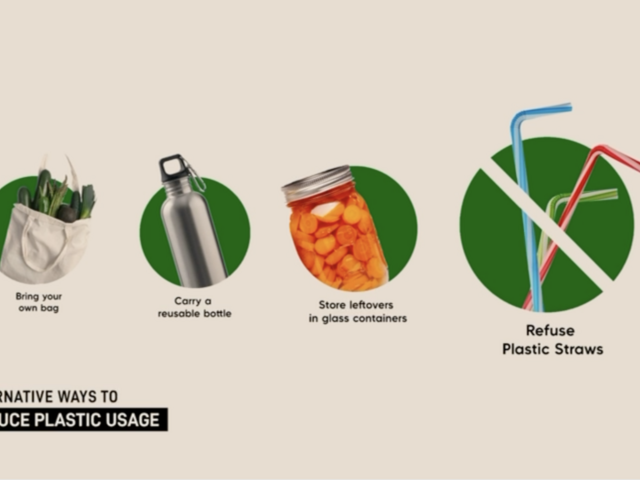 📹 Beating Plastic Pollution | Greenwatch Marks World Environment Day 2025